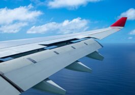 Que sont les flaps, comment fonctionnent-ils et quel lien avec l'accident d'avion en Inde ?