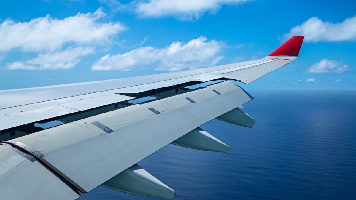 Que sont les flaps, comment fonctionnent-ils et quel lien avec l'accident d'avion en Inde ? 2 Flap estesi.