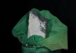 Fragment de jadarite