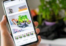 Snapseed revient avec l'une des plus grandes mises à jour de ces dernières années sur iOS
