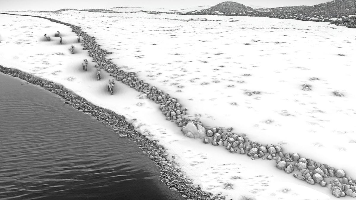 Struture en pierre mystérieuse de 11 000 ans dans la mer Baltique, les scientifiques déclarent : « C'était une piège » 2 Représentation en 3D d'un long mur de pierre découvert au large des côtes allemandes, datant de l'âge de pierre. Crédit : Michał Grabowski