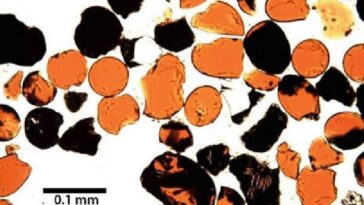 Sur la Lune, des minuscules perles de verre orange, découvrez enfin pourquoi 29 Image au microscope des perles de verre orange trouvées sur la surface de la Lune / Crédit : Robinson/Taylor, Nature Geoscience, 2014