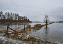 L'application pour suivre le tsunami du Pacifique en temps réel