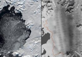 La plateforme de glace Wordie. À gauche ce qu'il en reste aujourd'hui, à droite comment c'était dans les années 60.