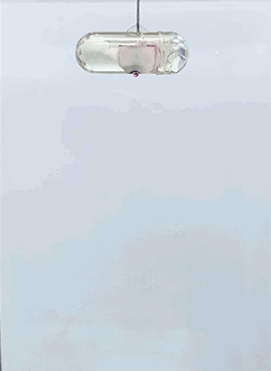 Des capsules revolutionnaires peuvent delivrer de linsuline sans aiguilles