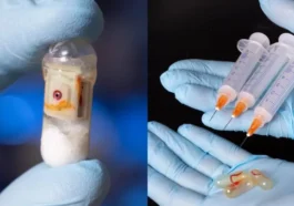 Des capsules "révolutionnaires" peuvent délivrer de l'insuline sans aiguilles 54 Des capsules "révolutionnaires" peuvent délivrer de l'insuline sans aiguilles
