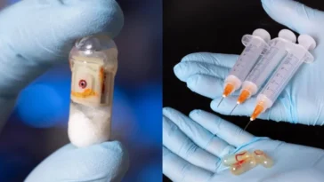Des capsules "révolutionnaires" peuvent délivrer de l'insuline sans aiguilles
