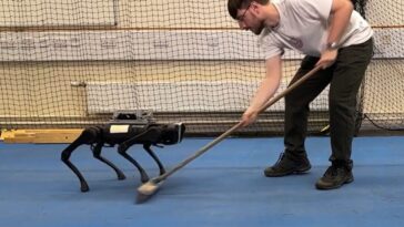 Des chiens robots se déplacent comme de vrais animaux grâce à une IA révolutionnaire : découvrez pourquoi c'est si précieux