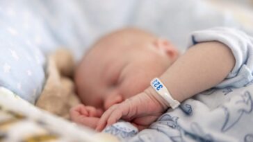Des niveaux "élevés" de protéines de l'Alzheimer découverts chez des bébés en bonne santé : un rôle surprenant à explorer 25 Image