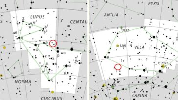 Deuxième étoile explosée en quelques jours, une incroyable coïncidence astronomique désormais visible depuis la Terre 16 Positions approximatives (cercles rouges) de la nova V462 Lupi, dans la constellation du Loup (à gauche), et de la nova V572 Velorum, dans la constellation des Voiles (à droite) / Crédit : IAU/SkyTelescope/Wikipedia