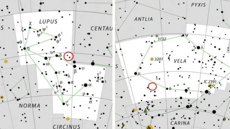 Deuxième étoile explosée en quelques jours, une incroyable coïncidence astronomique désormais visible depuis la Terre 1 Positions approximatives (cercles rouges) de la nova V462 Lupi, dans la constellation du Loup (à gauche), et de la nova V572 Velorum, dans la constellation des Voiles (à droite) / Crédit : IAU/SkyTelescope/Wikipedia