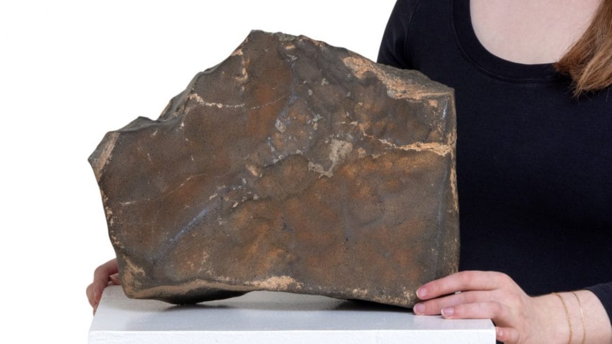 Enchères : la plus grande météorite martienne de 25 kg va provoquer une vente spectaculaire 2 NWA–16788, la plus grande météorite martienne découverte. Crédit : Sotheby’s