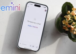 Gemini se met au sérieux : arrivée des chats qui ne sont pas conservés dans l'historique