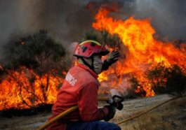 Incendies : découvrez comment réagir en cas d'exposition à la fumée 18 Incendies : découvrez comment réagir en cas d'exposition à la fumée
