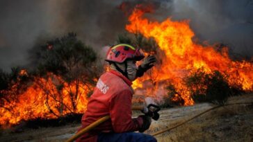 Incendies : découvrez comment réagir en cas d'exposition à la fumée