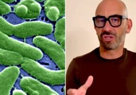 Le redoutable Vibrio vulnificus : découvrez ce pathogène et ses habitats selon Matteo Bassetti 62 Image