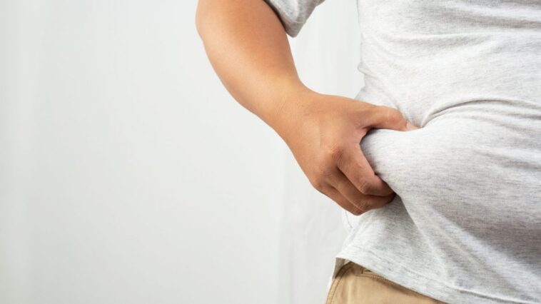 L'effet yo-yo perturbe la flore intestinale et complique le maintien d'une alimentation équilibrée 1 Image