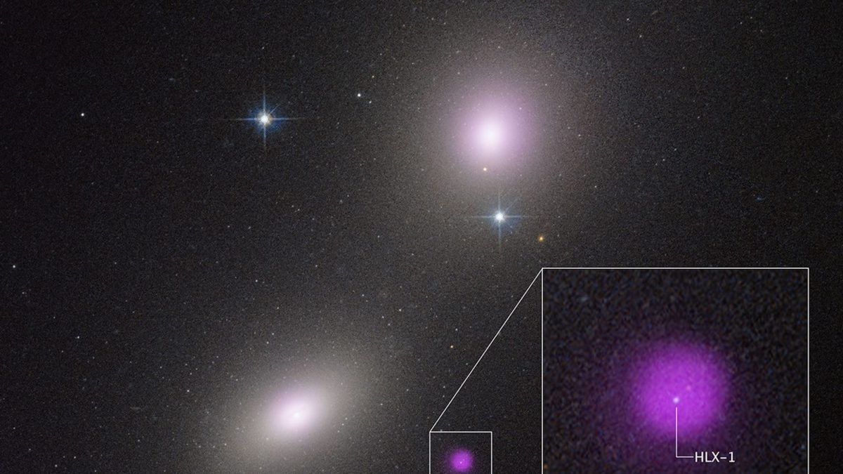 L'incroyable image d'un trou noir dévorant une étoile : les clichés du télescope Hubble 2 NASA | Une image du télescope spatial Hubble d'une paire de galaxies: NGC 6099 (en bas à gauche) et NGC 6098 (en haut à droite).