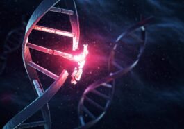 Mutation génétique associée à un décès soudain : découvrez les symptômes de la maladie identifiée à Caposele 71 Image
