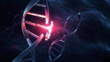 Mutation génétique associée à un décès soudain : découvrez les symptômes de la maladie identifiée à Caposele 3 Image