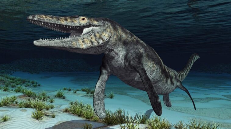 Non, le mosasaure de Jurassic World n'était pas un dinosaure marin : les (nombreuses) erreurs dans le film "La Renaissance" 1 Représentation d'un mosasaure