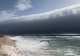 La roll cloud che si è formata in Portogallo, lungo la costa nord–atlantica tra Figueira da Foz ed Esposente / Credit: Facebook/MeteoTrasOsMontes