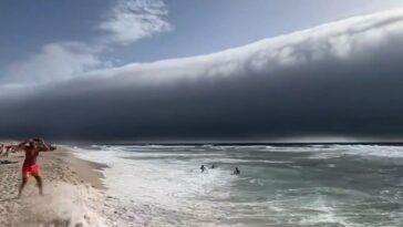 Nuage en rouleau au Portugal : qu'est-ce que cette formation apparue sur la côte ? "On aurait dit un tsunami" 27 La roll cloud che si è formata in Portogallo, lungo la costa nord–atlantica tra Figueira da Foz ed Esposente / Credit: Facebook/MeteoTrasOsMontes