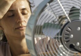 Pourquoi la chaleur ressentie ne correspond-elle pas toujours aux températures annoncées ? 28 Image