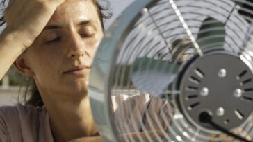 Pourquoi la chaleur ressentie ne correspond-elle pas toujours aux températures annoncées ? 18 Image