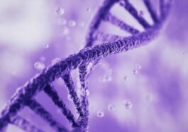 Qu'est-ce que l'ADN et pourquoi est-il toujours écrit en majuscules ? 96 La double hélice de la molécule de DNA