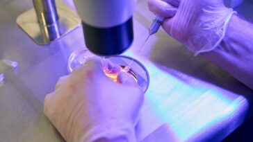 Spermatozoïdes et ovules créés en laboratoire : la science ouvre de nouvelles perspectives pour la reproduction humaine 4 Image