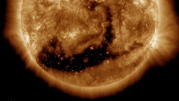 Un trou en forme d’embryon sur le soleil lance des particules vers la Terre : tempête solaire ce week-end 7 Le curieux trou coronal qui ressemble à un embryon couché sur le dos. Crédit : NASA/SDO