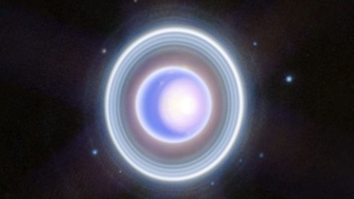 Uranus, plus chaud que prévu : une nouvelle étude éclaire le mystère du géant glacé 2 Urano vu par le télescope spatial James Webb / Crédit : NASA