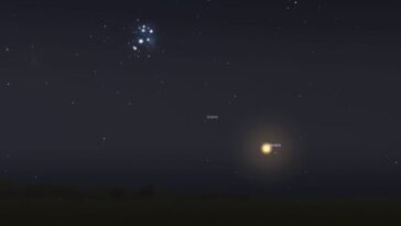 Vénus danse avec les étoiles bleues les 2 et 3 juillet : à quelle heure découvrir le "Planète de l'Amour" 23 L’abbraccio di Venere alle Pleiadi del 3 luglio. Credit: Stellarium