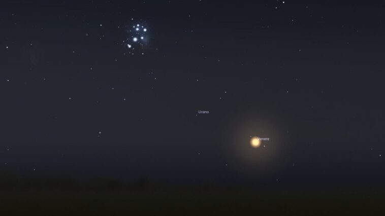 Vénus danse avec les étoiles bleues les 2 et 3 juillet : à quelle heure découvrir le "Planète de l'Amour" 1 L’abbraccio di Venere alle Pleiadi del 3 luglio. Credit: Stellarium