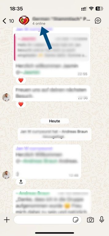 WhatsApp avec de nouvelles fonctionnalités : Oui, non, peut-être 2 Whatsapp groupe membres en ligne