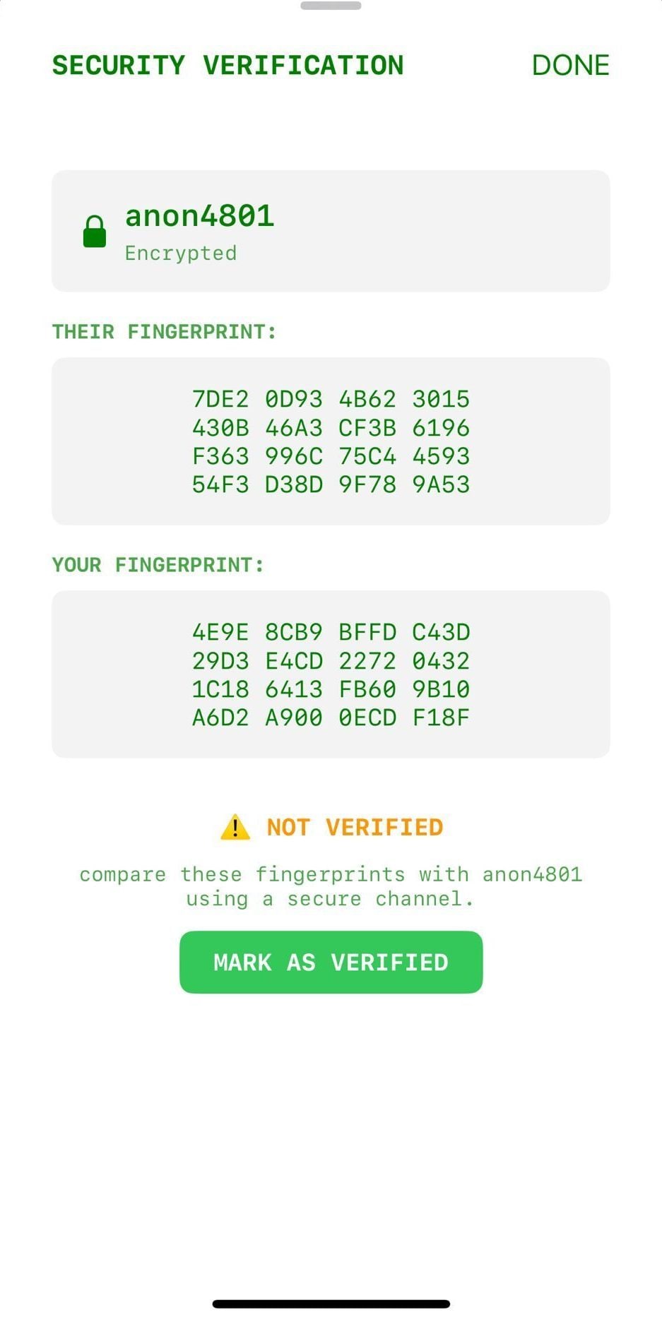 Nous avons testé Bitchat, le concurrent de WhatsApp : l'utiliser sans avoir le numéro du destinataire et sans connexion Internet 5 BITCHAT | Nos tests sur l’app