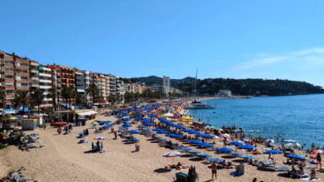 Les meilleurs conseils pour savoir comment sont les plages et quelle est la couleur du drapeau avec son mobile