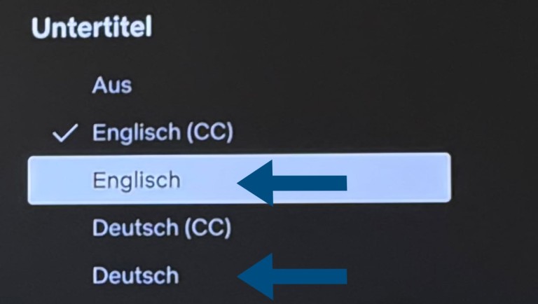Netflix : Comment activer les sous-titres uniquement pour les dialogues 3 Sous-titres uniquement pour les dialogues