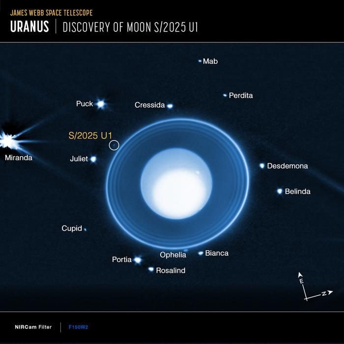 La nouvelle lune d'Urano. Crédit : NASA, ESA, CSA, STScI, M. El Moutamid (SwRI), M. Hedman (Université de l’Idaho)