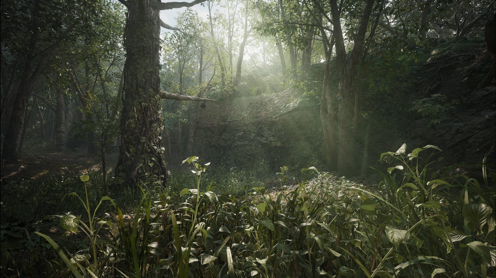 METAL GEAR SOLID DELTA: SNAKE EATER | Un aperçu de la jungle où opère Naked Snake