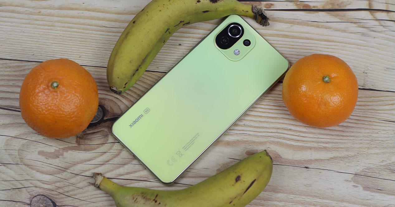 5 smartphones populaires de Xiaomi qui ne bénéficieront pas d'HyperOS 3.0 : le vôtre pourrait en faire partie 2 xiaomi mi 11 lite 5g trasera