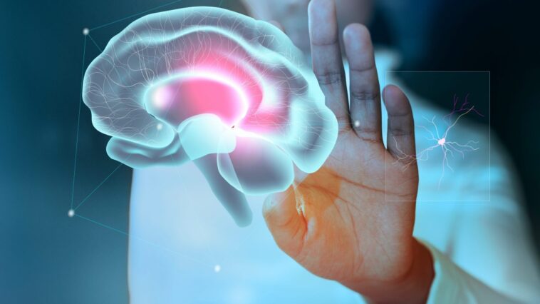 Alzheimer : des scientifiques restaurent la mémoire lors d'un étonnant test en laboratoire, ouvrant la voie à de nouvelles thérapies 1 Image