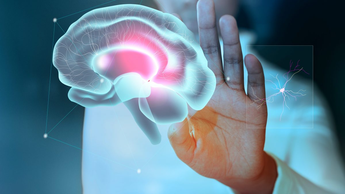 Alzheimer : des scientifiques restaurent la mémoire lors d'un étonnant test en laboratoire, ouvrant la voie à de nouvelles thérapies 2 Image