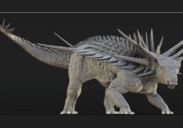 Reconstruction du dinosaure armuré. Crédit : Matthew Dempsey