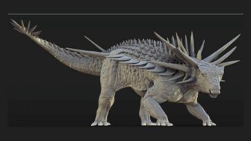 Reconstruction du dinosaure armuré. Crédit : Matthew Dempsey