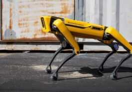 La solution de Hong Kong pour lutter contre la chikungunya : des chiens robots