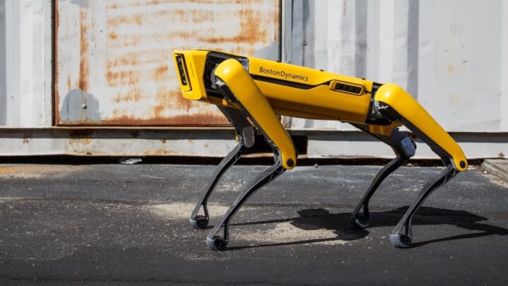 La solution de Hong Kong pour lutter contre le chikungunya : des chiens robots 2 La solution de Hong Kong pour lutter contre la chikungunya