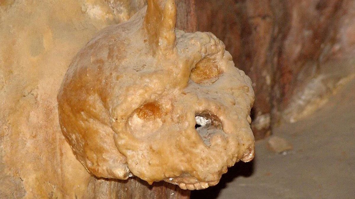Le mystère du crâne de Petralona divise les chercheurs : ni homme moderne, ni Néandertalien 2 Le crâne de Petralona, retrouvé en 1960 collé à la paroi d'une grotte à 50 kilomètres de Thessalonique, en Grèce / Crédit : Wikipedia
