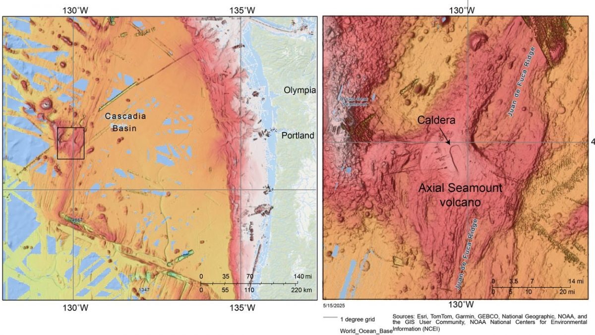 Le volcan sous-marin Axial face aux États-Unis prêt à entrer en éruption : que se passe-t-il ? 2 La position du volcan Axial par rapport aux côtes américaines. Crédit : Ball / USGS.